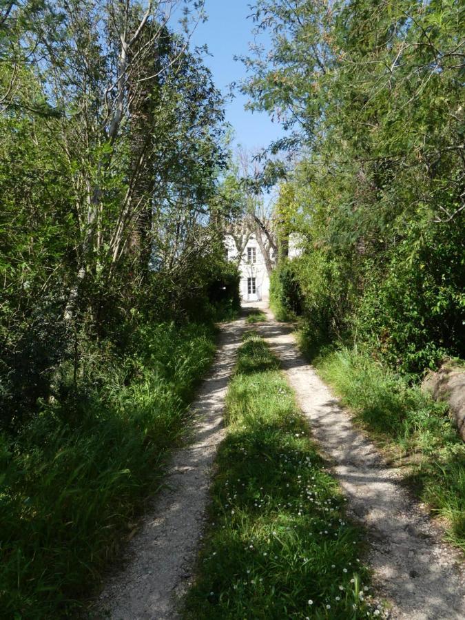 Le Charme D'Une Vieille Bastide Provencale Solliès-Pont Eksteriør billede